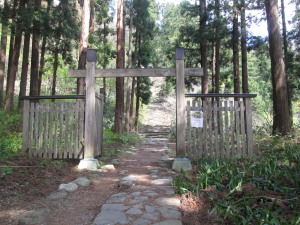 aaIMG_7915.jpg