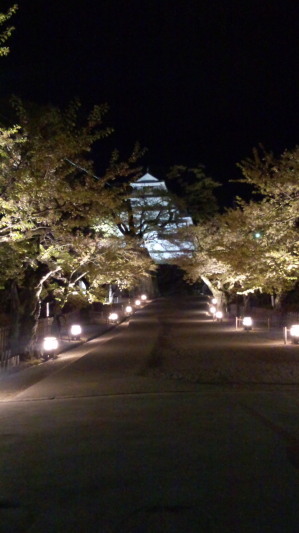 aiDCIM0256.jpg