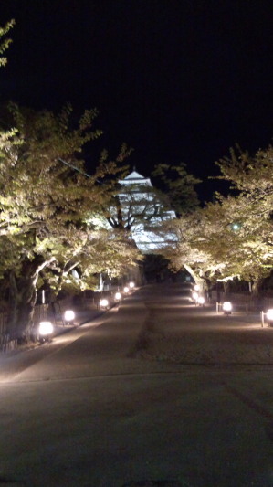 aiDCIM0257.jpg