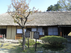 asIMG_7808.jpg