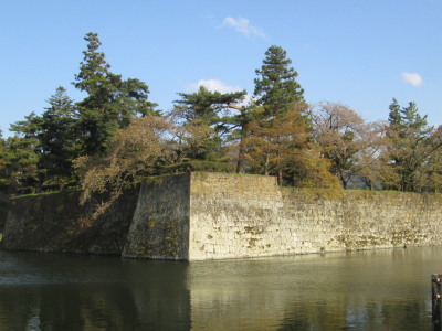 dIMG_8034.jpg