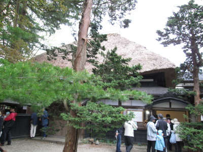 【旅行記】 鹿角武家屋敷の桜