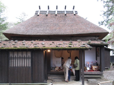 【旅行記】 鹿角武家屋敷の桜