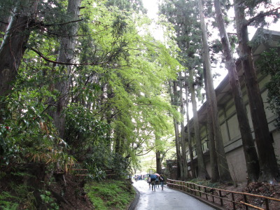 【旅行記】世界遺産・中尊寺