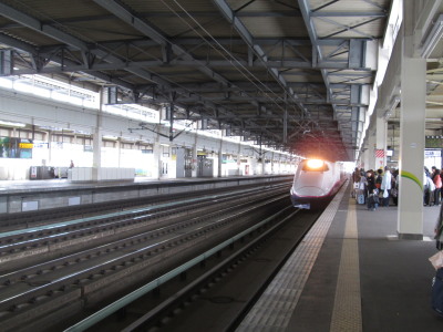 【旅行記】一関駅から新幹線で東京へ